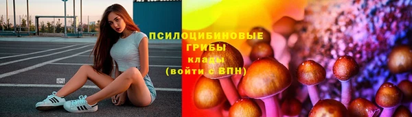 хмурый Надым