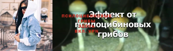 эйфоретик Балахна