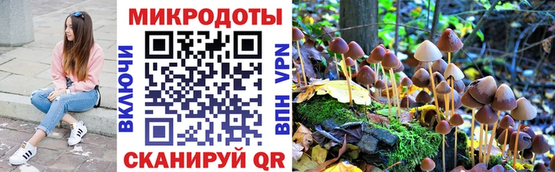 Галлюциногенные грибы Magic Shrooms  как найти наркотики  Олонец 