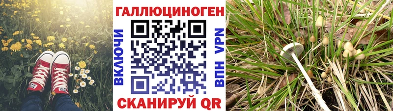 Галлюциногенные грибы GOLDEN TEACHER Олонец